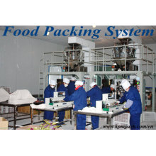 Automatic Plastic Toys Packing Machine
